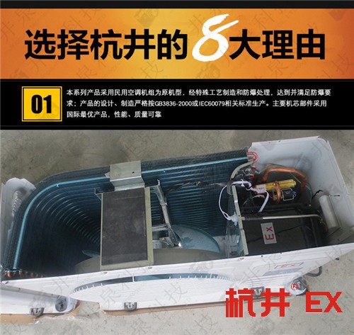 面粉厂防爆空调机案例图