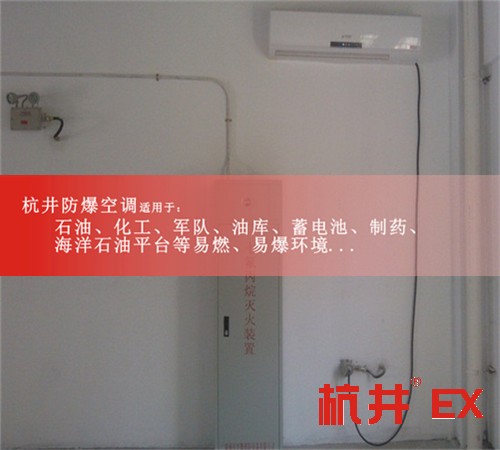 抛光车间防爆空调机案例图